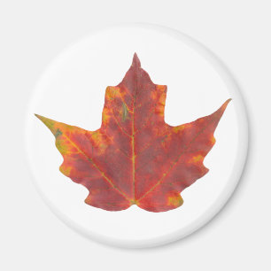 Red Maple Leaf Magneet