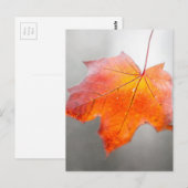 Red Maple Leaf - Mystique Autumn Briefkaart (Voorkant / Achterkant)