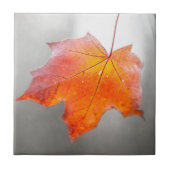 Red Maple Leaf - Mystique Autumn Tegeltje (Voorkant)