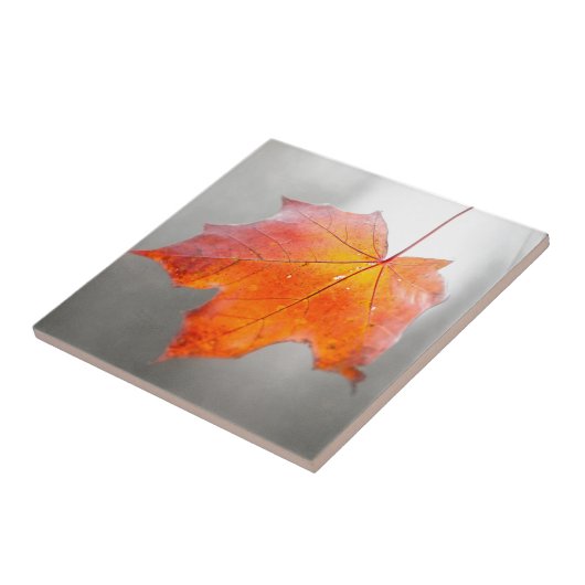 Red Maple Leaf - Mystique Autumn Tegeltje (Zijkant)