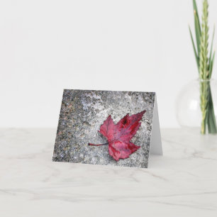 Red Maple Leaf Note Kaart