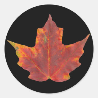 Red Maple Leaf Ronde Sticker