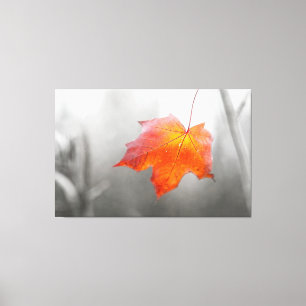 Red Maple Leaf - Velvet Autumn Canvas Afdruk