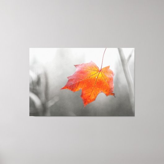 Red Maple Leaf - Velvet Autumn Canvas Afdruk (Voorkant)