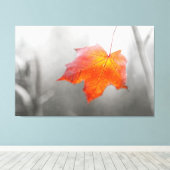 Red Maple Leaf - Velvet Autumn Canvas Afdruk (Insitu (Houten vloer))