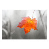 Red Maple Leaf - Velvet Autumn Foto Afdruk (Voorkant)