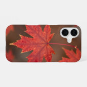Red Maple Leaves Fall Phone Case iPhone 16 Hoesje (Achterkant horizontaal)