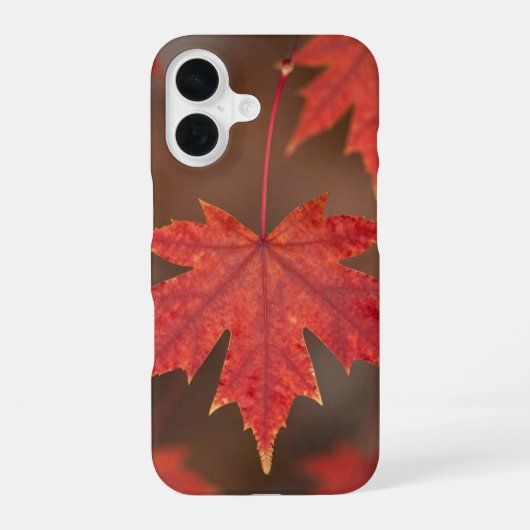 Red Maple Leaves Fall Phone Case iPhone 16 Hoesje (Achterkant)