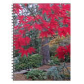 Red Maple Leaves in a Japanese Garden Notitieboek (Voorkant)