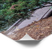 Red Maple Leaves in a Japanese Garden Perfect Poster (Hoek)