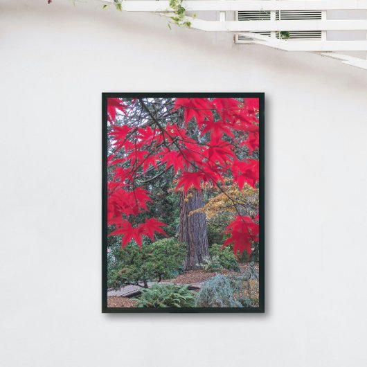 Red Maple Leaves in a Japanese Garden Perfect Poster