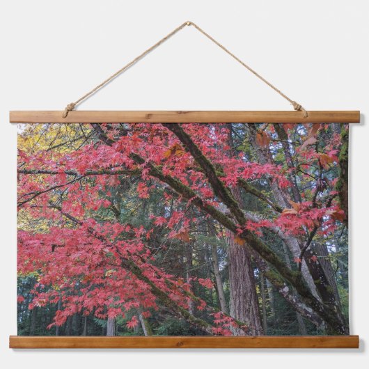 Red Maple Leaves on Tree Botanical Hangend Wandkleed (Voorkant)