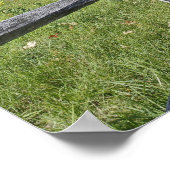 Red Maple tree in herfstkleuren, bij Concord, 2 Poster (Hoek)