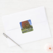 Red Maple tree in herfstkleuren, bij Concord, 2 Vierkante Sticker (Envelop)