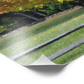 Red Maple tree in herfstkleuren, bij Concord; Foto Afdruk (Hoek)