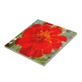 Red Marigold Flower Summer Flora sluit Pattern op Tegeltje (Zijkant)