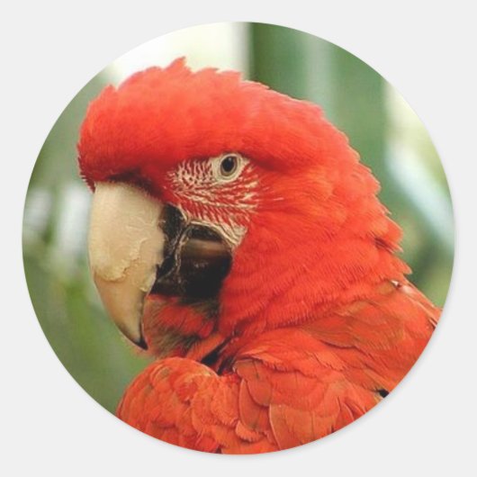 Red McCaw-Stickers Ronde Sticker (Voorkant)