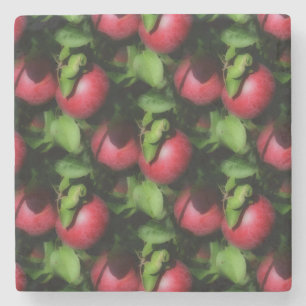 Red McIntosh Apples Natuur Art Pattern Stenen Onderzetter