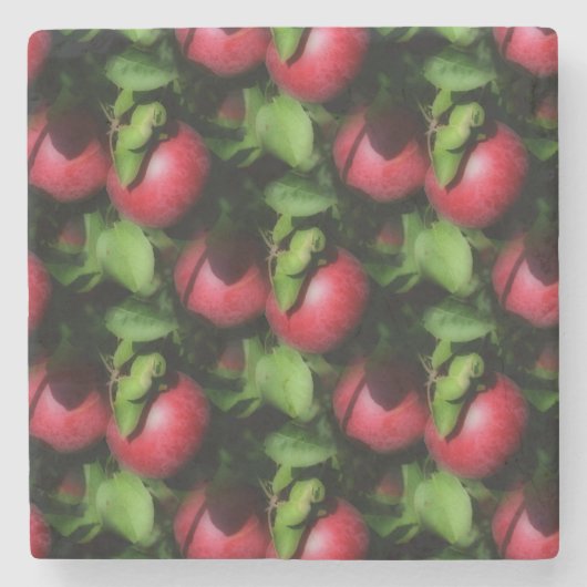 Red McIntosh Apples Natuur Art Pattern Stenen Onderzetter (Voorkant)