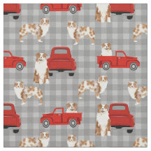 Red Merle Aussie en rode vrachtwagen