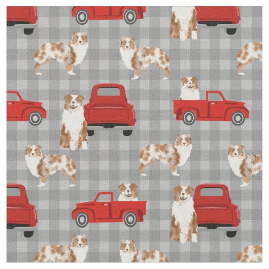 Red Merle Aussie en rode vrachtwagen Stof (Close Up)