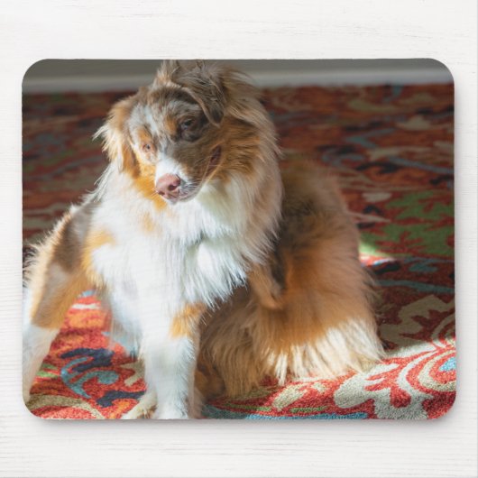 Red Merle Australian Shepherd Muismat (Voorkant)