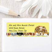 Red Merle Australian Shepherd Puppy Etiket (Insitu)