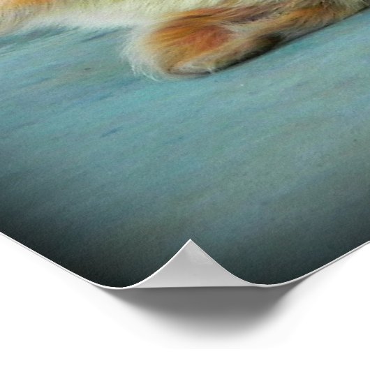 Red Merle Australian Shepherd Puppy Poster (Hoek)