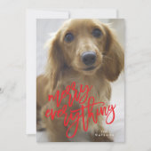 Red Merry Alles Photo Feestdagenkaart (Voorkant)