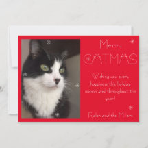 Red Merry Catmas Kat Pet Foto