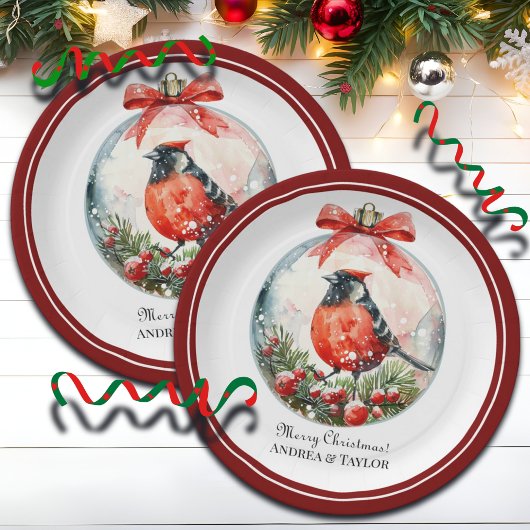 Red Mockingbird Winterlandschap Papieren Bordje