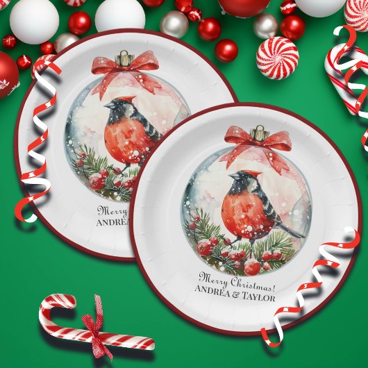 Red Mockingbird Winterlandschap Papieren Bordje