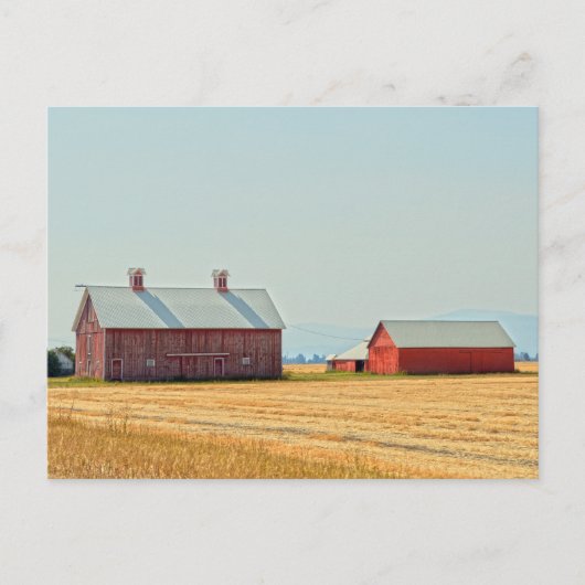 Red Montana Barns Briefkaart (Voorkant)