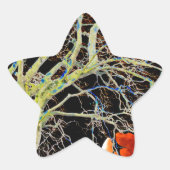 Red Moon Rising Ster Sticker (Voorkant)