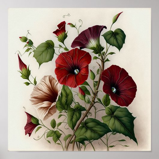 Red Morning Glory Flowers Art Print Poster (Voorkant)