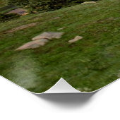 Red Mountain Reflection Poster (Hoek)