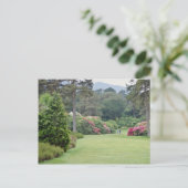 Red Muckross House Gardens, Ierse bloemen Briefkaart (Staand voorkant)