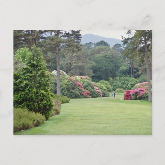 Red Muckross House Gardens, Ierse bloemen Briefkaart (Voorkant)