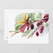 Red Mulberry Tree Fairy Briefkaart (Voorkant / Achterkant)