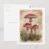 Red Mushroom Briefkaart (Voorkant / Achterkant)