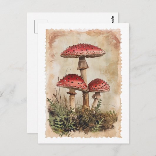  Red Mushroom Briefkaart (Voorkant / Achterkant)