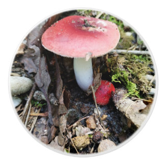 Red Mushroom Fairy Ceramic Knob Keramische Knop