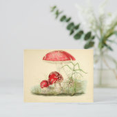 Red Mushroom Fungi Fungus Vintage Postcard Briefkaart (Staand voorkant)