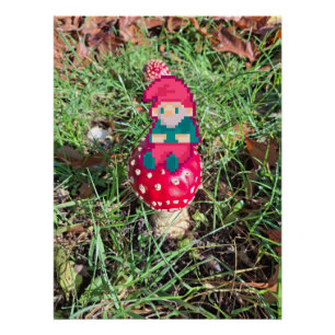 Red mushroom, gnoom pixelart, Pixel Art  Perfect Poster