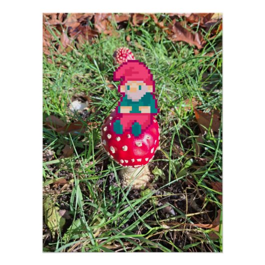 Red mushroom, gnoom pixelart, Pixel Art  Perfect Poster (Voorkant)
