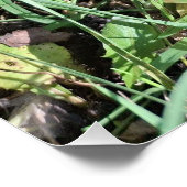 Red mushroom, gnoom pixelart, Pixel Art  Perfect Poster (Hoek)