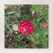 Red mushroom  legpuzzel (Horizontaal)