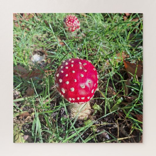 Red mushroom  legpuzzel (Verticaal)