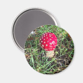 Red mushroom  magneet (Voorkant / Achterkant)