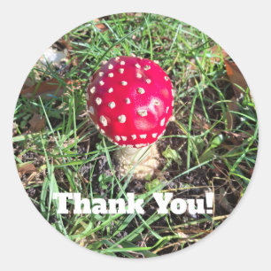 Red mushroom ronde sticker